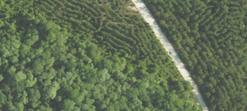 Wooded Residential Lot