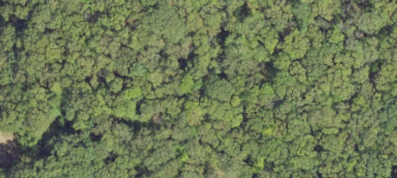 Wooded Custom Home Building Site