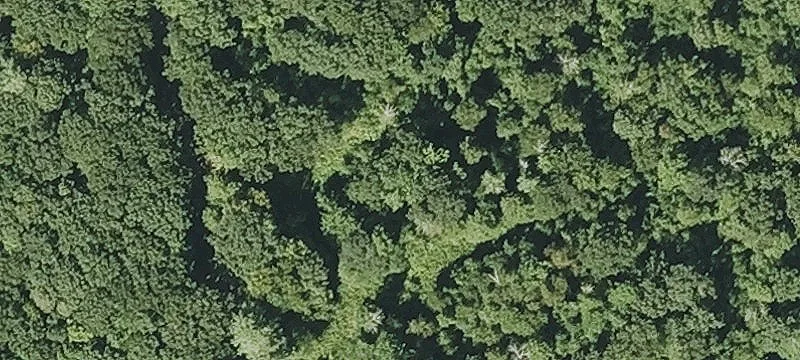 Wooded Residential Land Lots