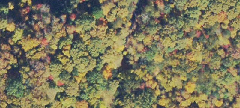 Vacant Mountain View Lot