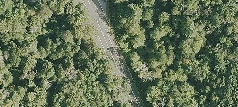 Multi-Parcel Recreational Land