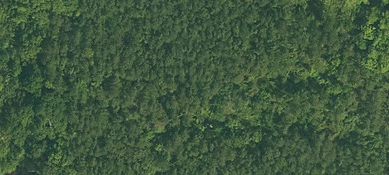 Partially Cleared Home Building Lot