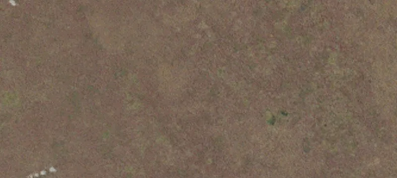 Residential Land Parcel with Oaks