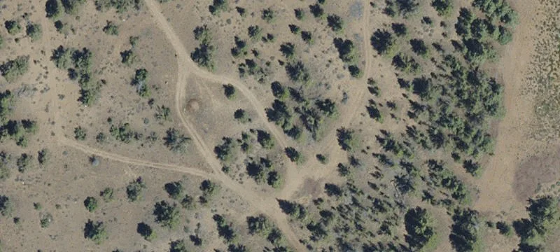 Buildable Irrigated Farmland Parcel