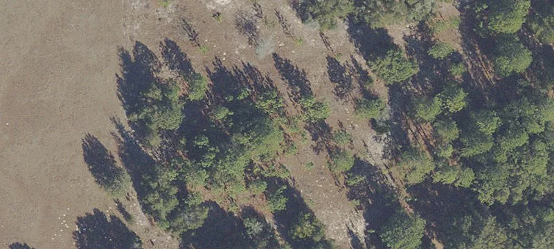 Agricultural Land Parcel