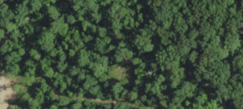 Hunting Land with Timbered Habitat