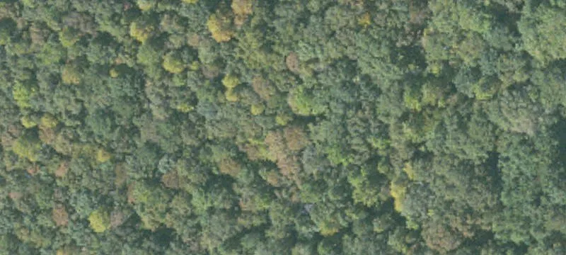 Dividable Residential Land Lot