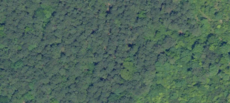 Multi-Acre Land Parcel