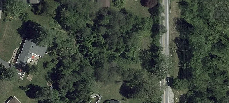 Partially Cleared Home Lot