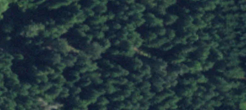 Wooded Farmland Parcels with Easement