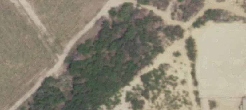 Cleared Land with Road Frontage
