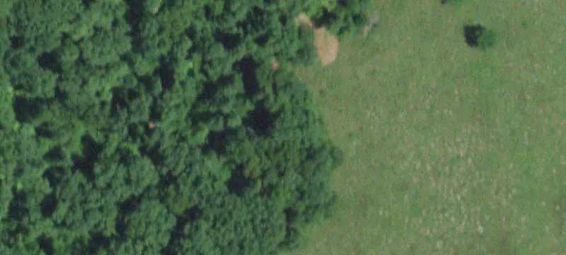 Acreage with Spring-Fed Pond