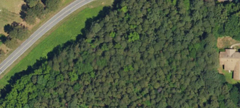 Wooded Residential Lot