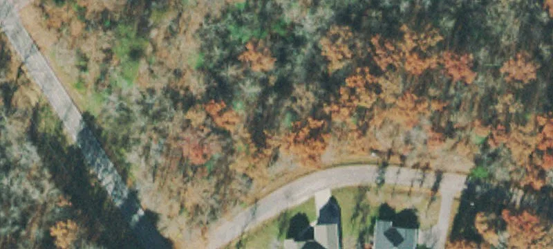 Wooded Residential Lot