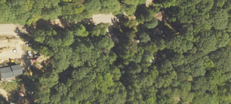 Waterfront Wooded Land Parcel