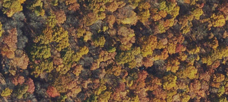 Wooded Resort Lot