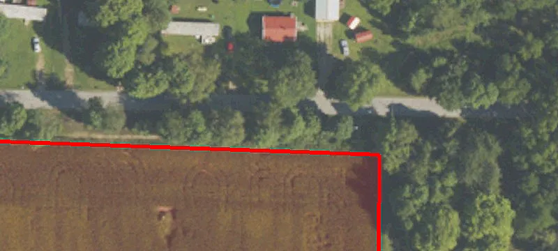 Wooded Recreational Hunting Land
