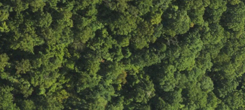 Four-Bedroom Percolation-Approved Lot
