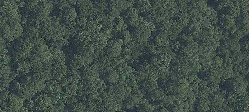 Zoned Commercial Land Parcel