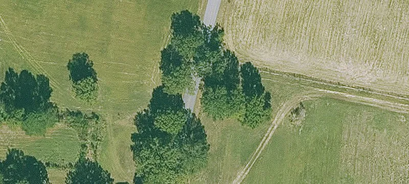 Wooded Residential/Recreation Land