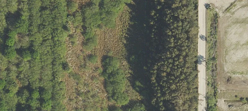Horse Ranch and Estate Land