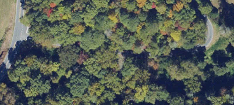 Two Buildable Lots with Septic