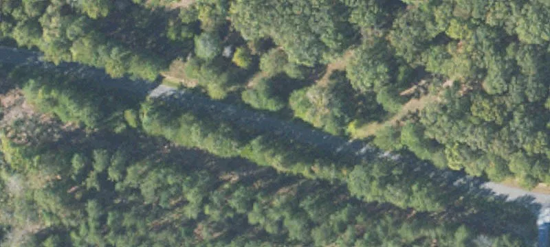 Hunting and Recreational Land Tract