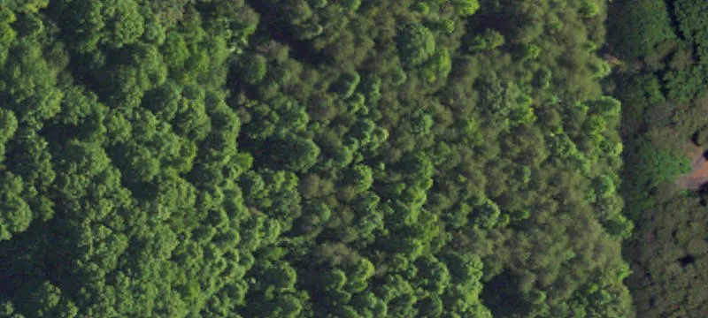 Wooded Residential Development Land
