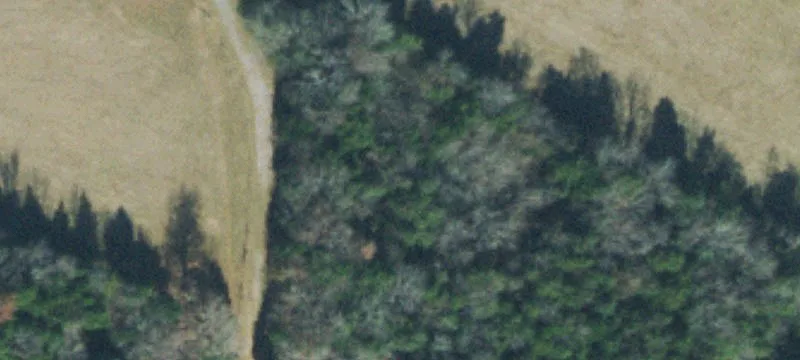Improved Cattle Farm Property