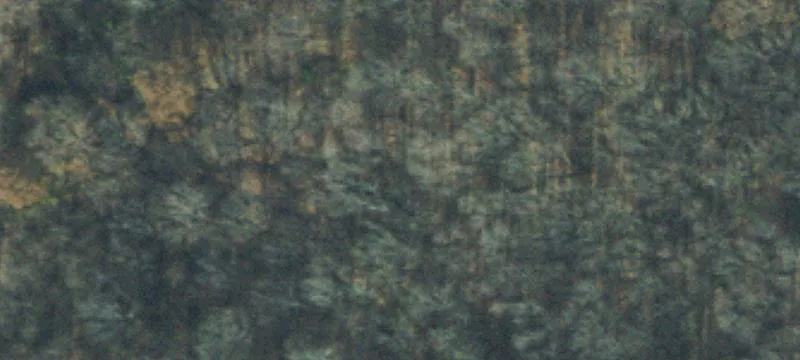 Wooded Residential Development Land