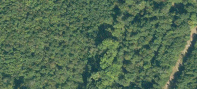 Wooded Development Tract with Pond