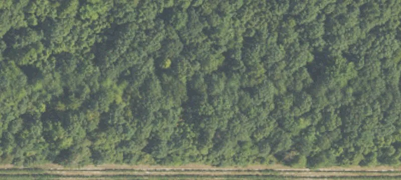 Commercial Specialty Land Parcels