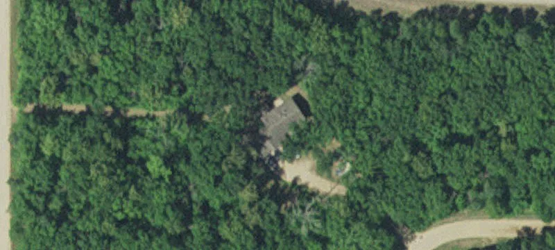 Wooded Cabin/Home Lot