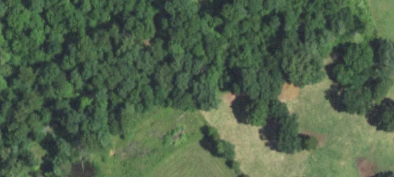 Fenced Farm and Hunting Land