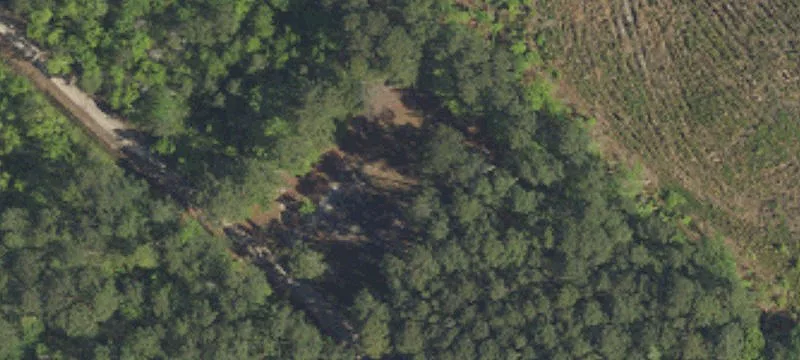 Wooded Residential Land Lot