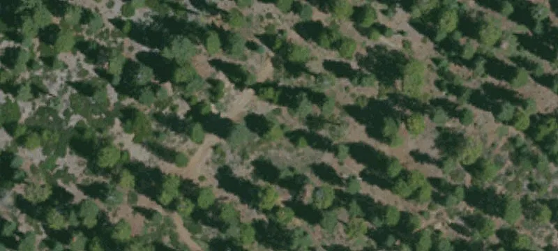 Mountain Retreat Building Lot