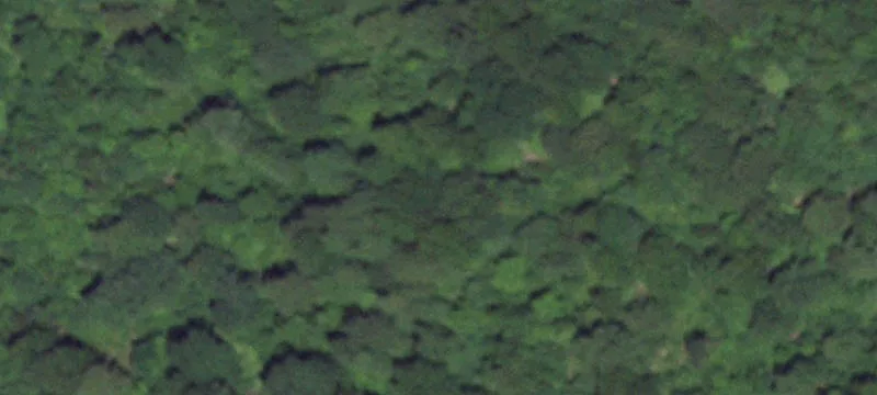 Secluded Buildable Land Lot