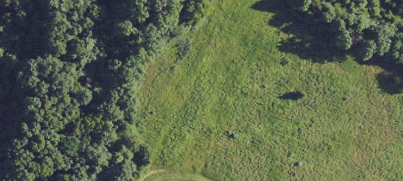 For-Sale Farmland Tract