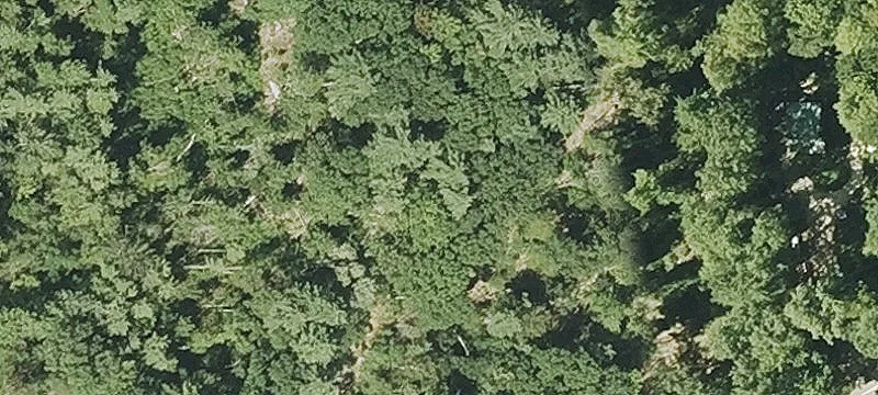 Wooded Residential Land Parcel