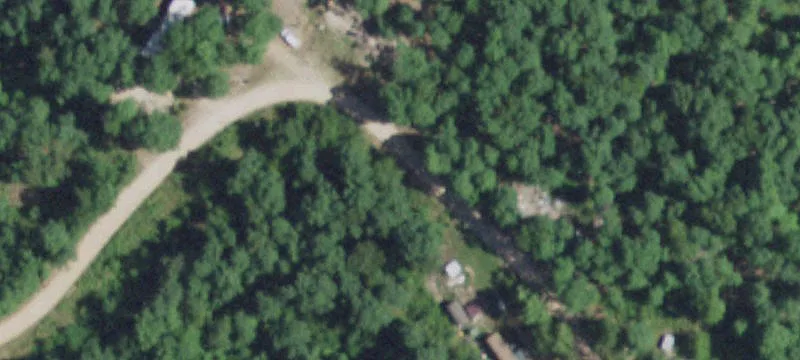 Secluded Wooded Hunting Tract