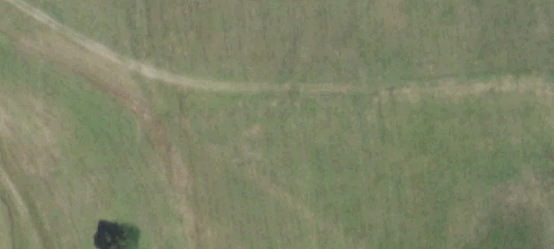 Equine Training Facility with Arena