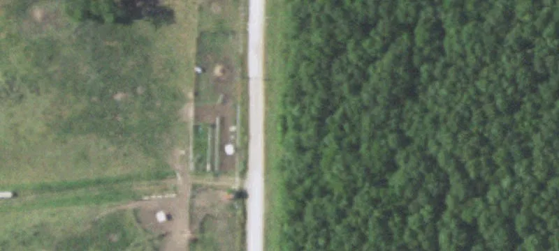 Farmland and Hunting Tract
