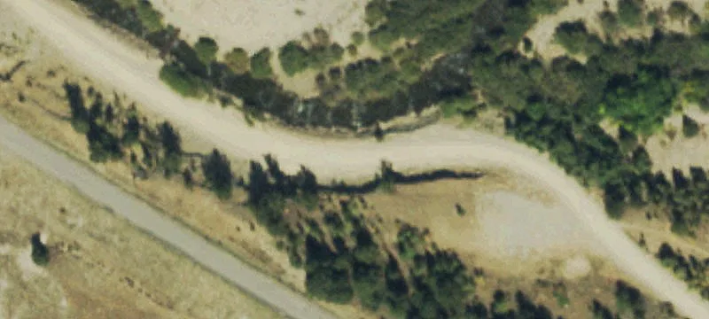 Treed Recreation Land Parcel
