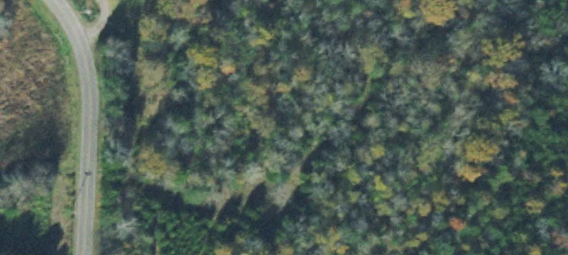 Agricultural Land Tract with Road Frontage