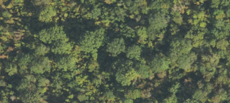 Vacant Land Parcel