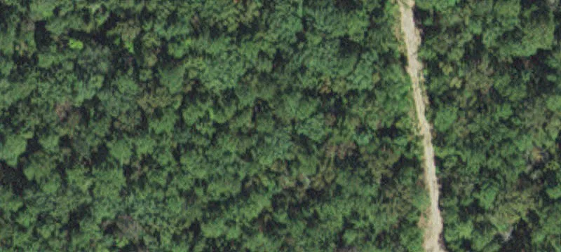 Wooded Gated Community Lot