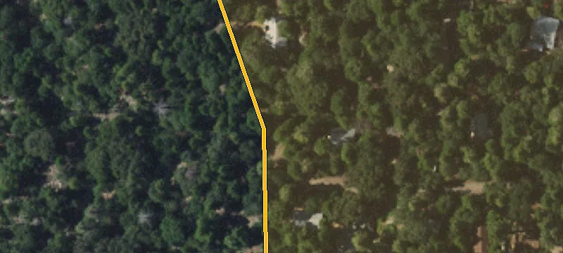 Treed Residential Build Site