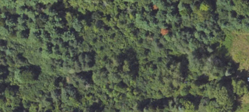 Wooded Farmland with Pole Barn