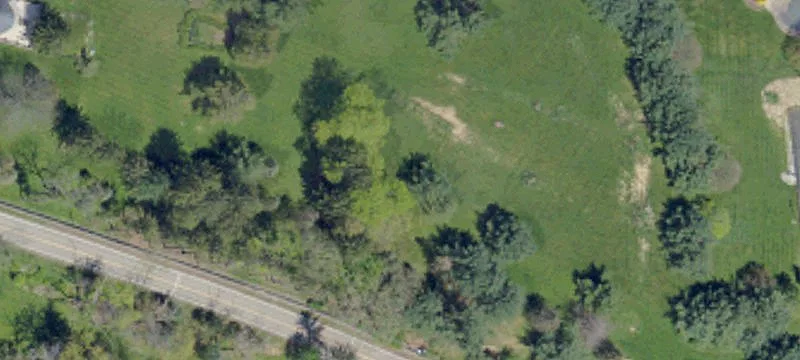 Custom-Build Corner Home Lot