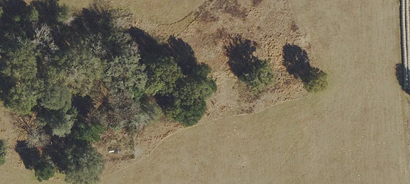 Pastureland with Pond and Fencing